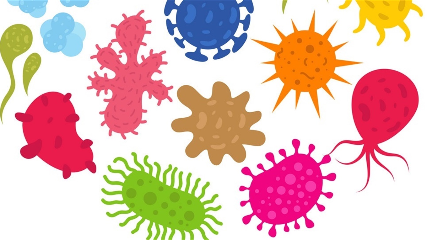 Роль бактерій в житті людини - Бактерії та хвороби